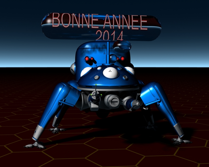 bonne année 2013